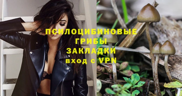гидропоника Покачи